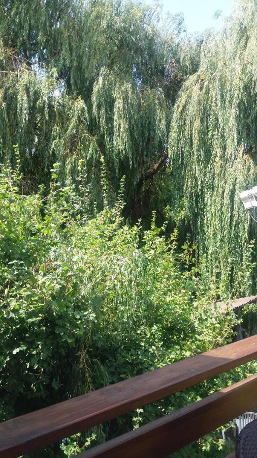 Vakacio Apartman Balatonalmadi Luaran gambar